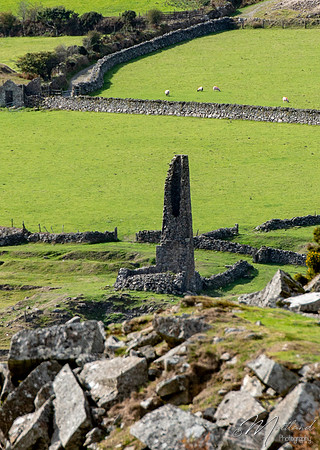 Bodmin Moor