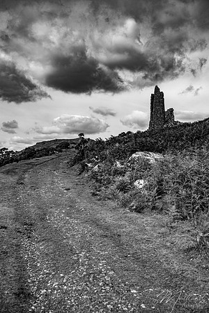 Bodmin Moor