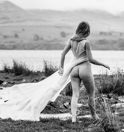 Raphaella