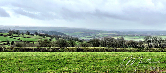 Dobwalls