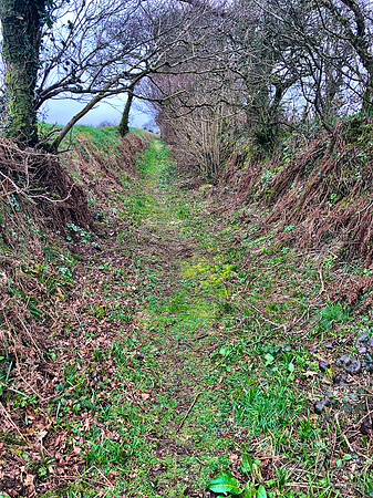 Dobwalls