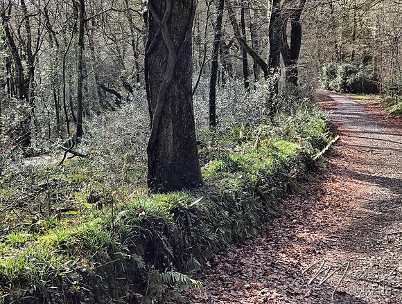 Lostwithiel