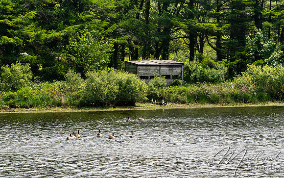 Siblyback Lake