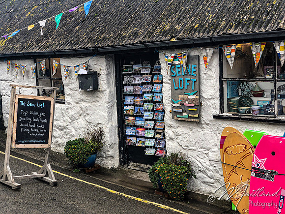 Cadgwith & Lizard