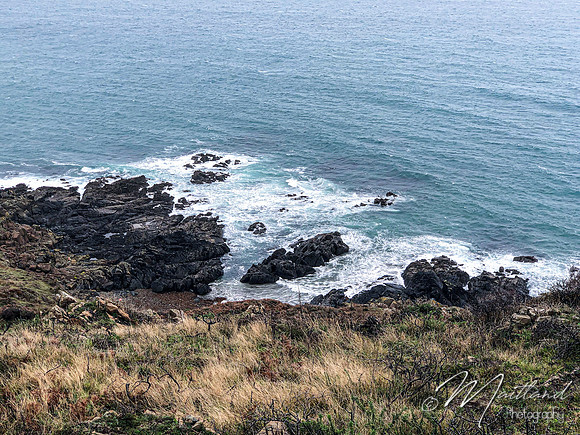 Cadgwith & Lizard