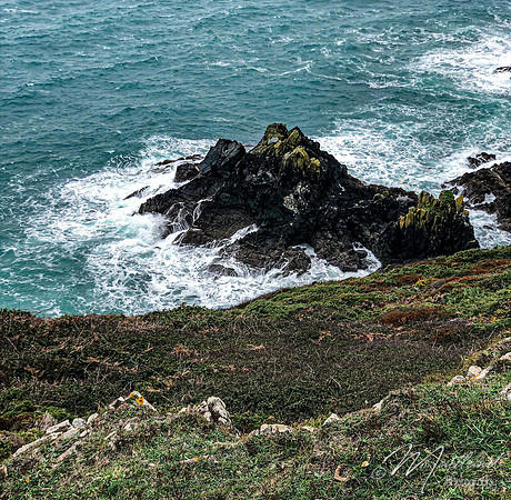Cadgwith & Lizard