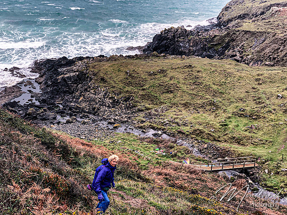 Cadgwith & Lizard