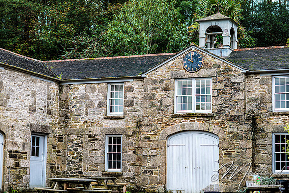 Cadgwith & Lizard