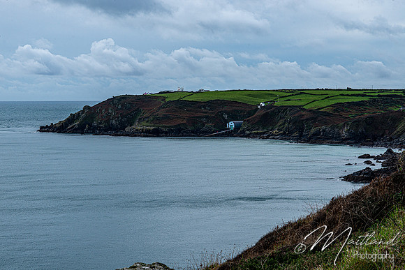 Cadgwith & Lizard