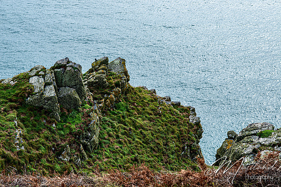 Cadgwith & Lizard