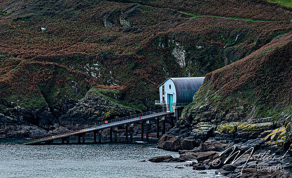 Cadgwith & Lizard