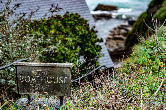 Cadgwith & Lizard