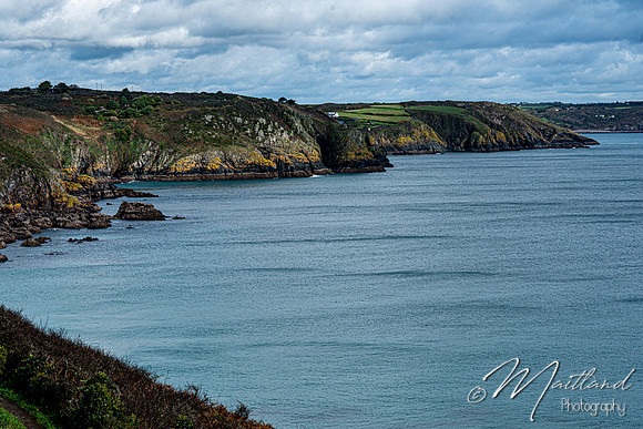 Cadgwith & Lizard