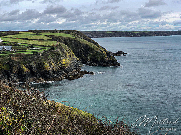 Cadgwith & Lizard