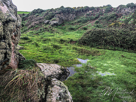 Cadgwith & Lizard
