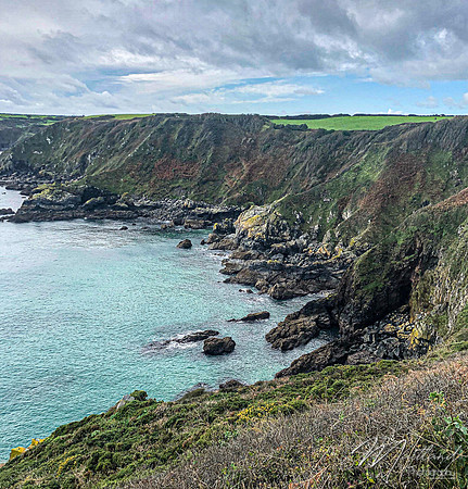 Cadgwith & Lizard