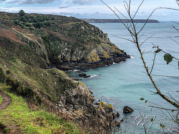 Cadgwith & Lizard