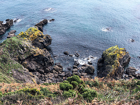 Cadgwith & Lizard