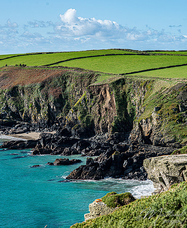 Cadgwith & Lizard