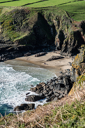 Cadgwith & Lizard