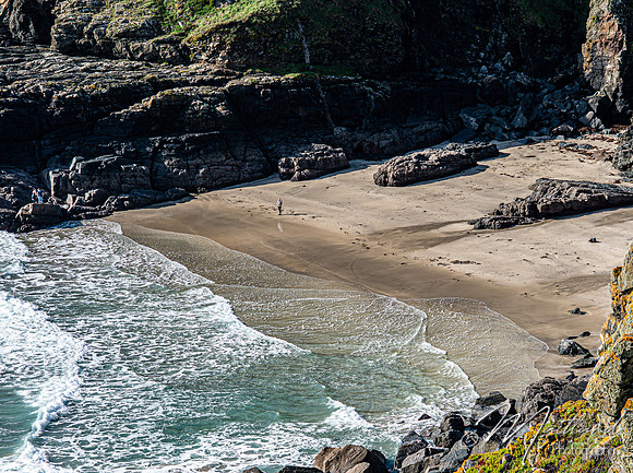 Cadgwith & Lizard