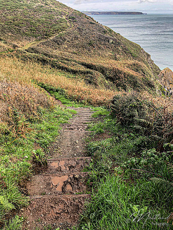 Cadgwith & Lizard