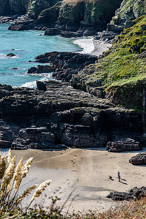 Cadgwith & Lizard