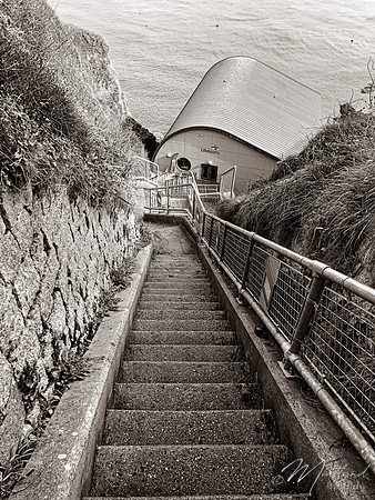 Cadgwith & Lizard