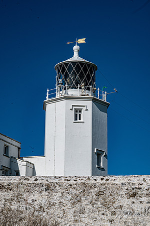 Cadgwith & Lizard