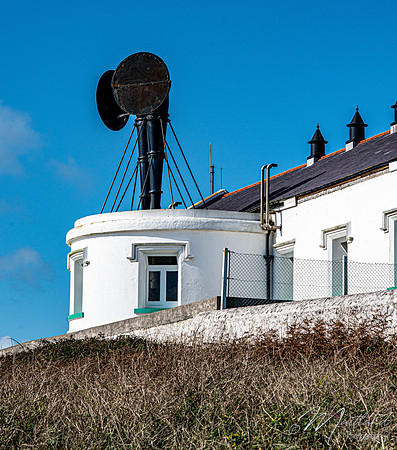 Cadgwith & Lizard