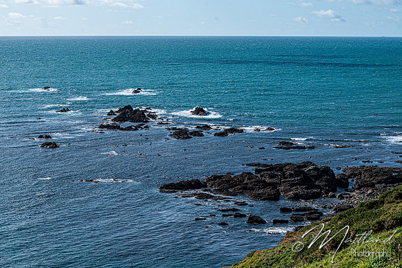 Cadgwith & Lizard