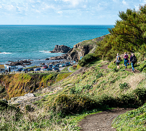 Cadgwith & Lizard