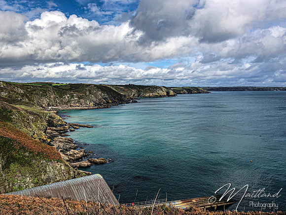 Cadgwith & Lizard