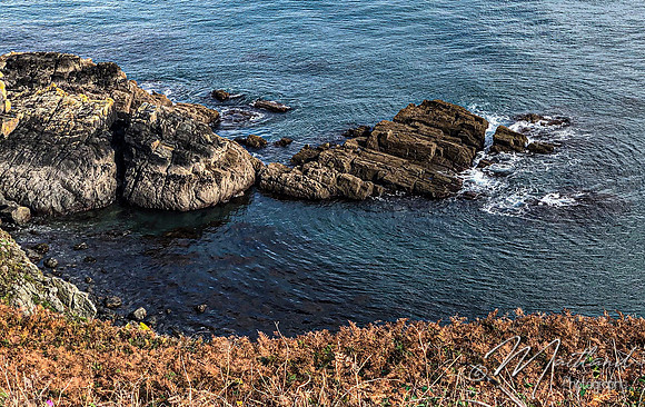 Cadgwith & Lizard