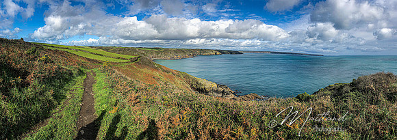 Cadgwith & Lizard