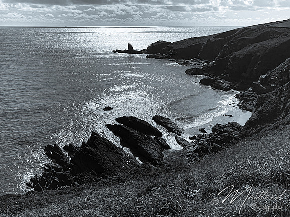 Cadgwith & Lizard