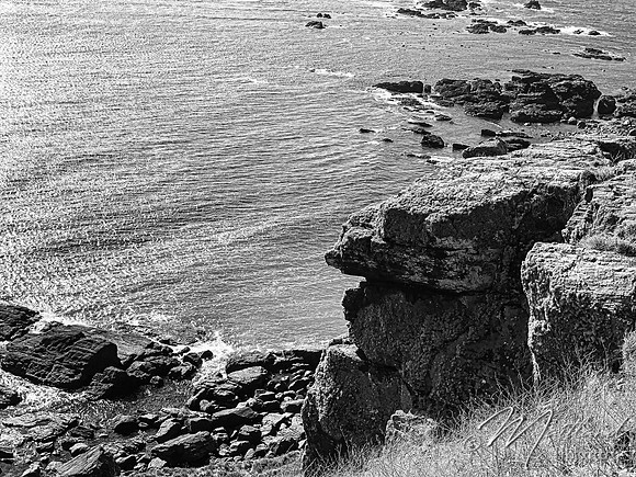 Cadgwith & Lizard
