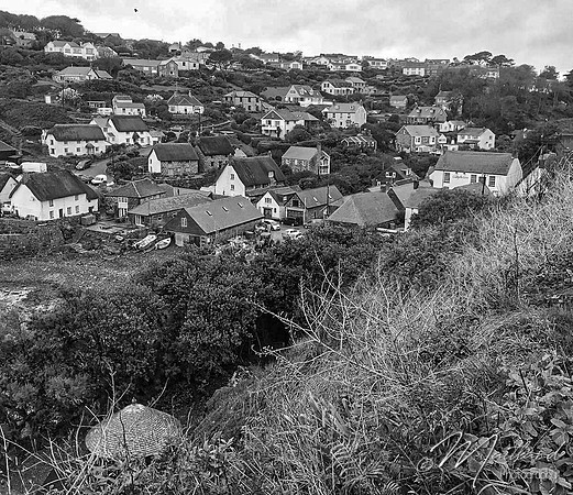 Cadgwith & Lizard