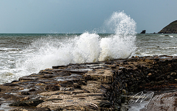 Portwrinkle