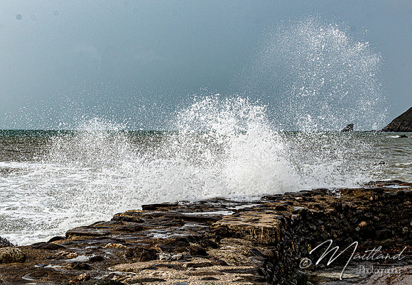 Portwrinkle