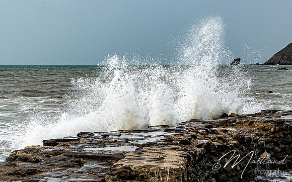 Portwrinkle