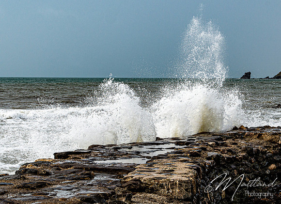 Portwrinkle