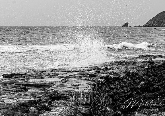Portwrinkle