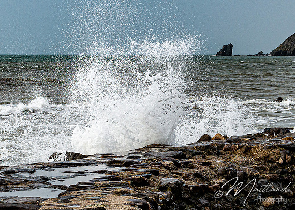 Portwrinkle