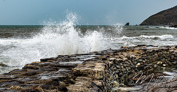 Portwrinkle
