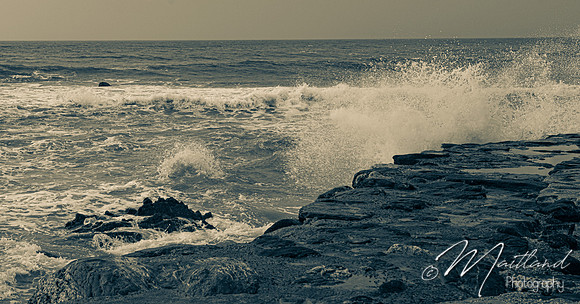 Portwrinkle