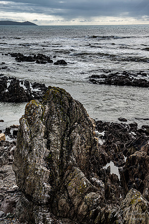 Portwrinkle