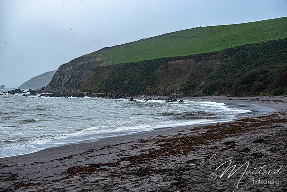 Portwrinkle