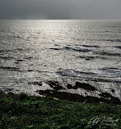 Portwrinkle