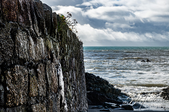 Portwrinkle